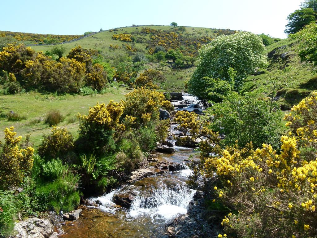 Collaven Manor Hotel Okehampton Buitenkant foto